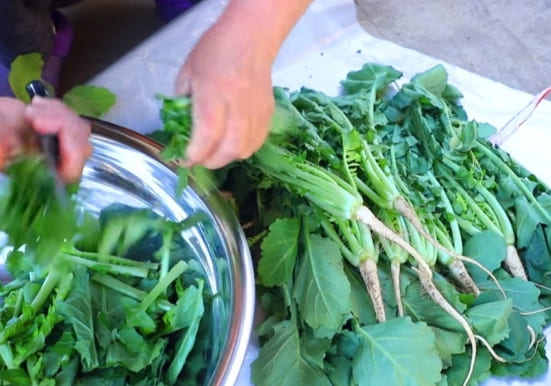 열무김치 손질하는 인포그래픽5