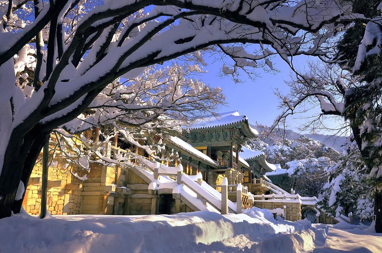 경북 겨울 명소 추천, 설경 속 역사&middot;사찰 여행지 BEST 4