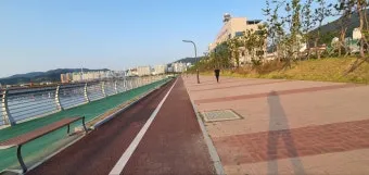 마산 해안도로 5월의 꽃 다정큼나무 산딸나무 해당화_7