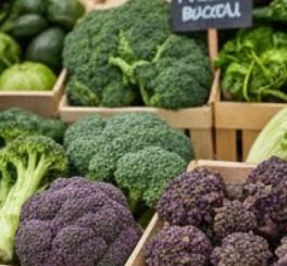 브로콜리 씻는방법