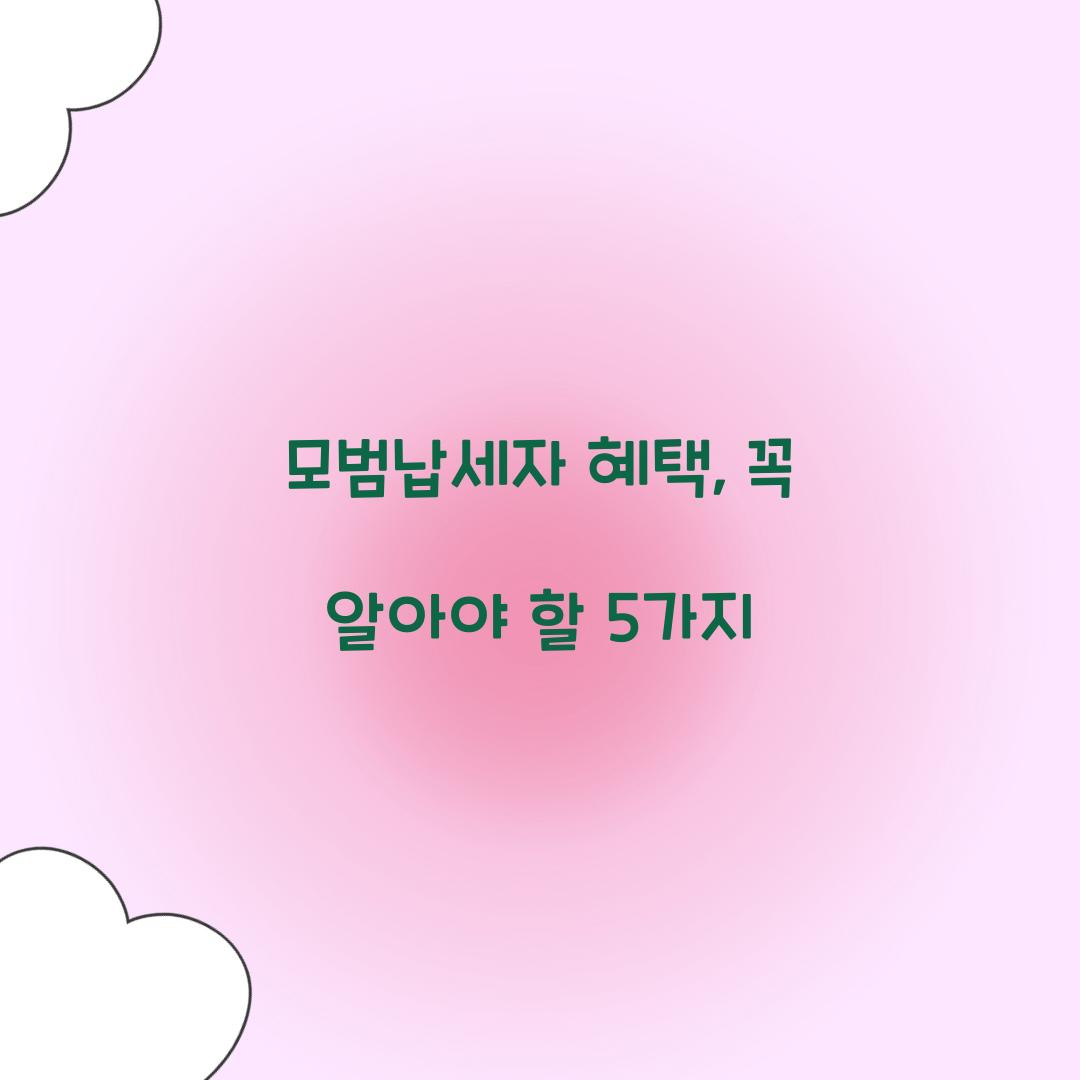 모범납세자 혜택