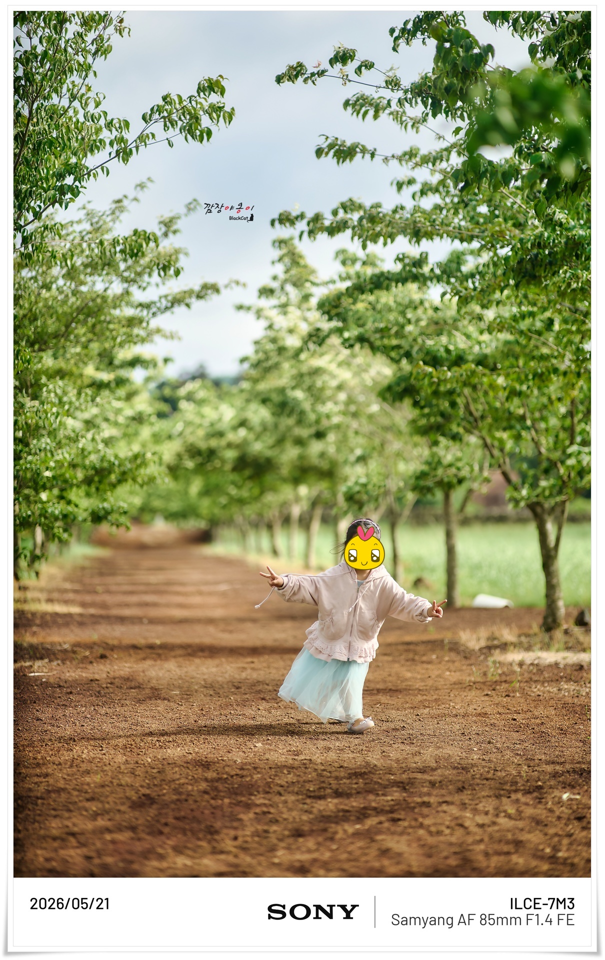 제주 밭디 대형그네 포토존과 초원 풍경