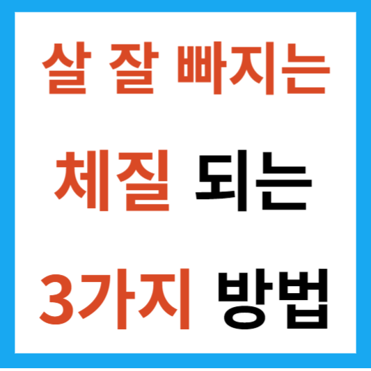 살-잘-빠지는-체질-되는-3가지-방법
