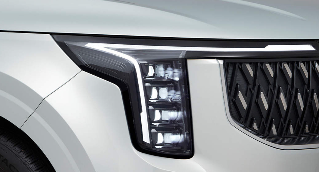 카니발 하이브리드