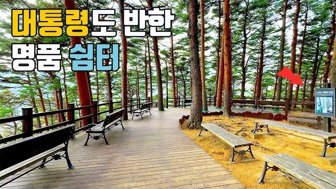 걷기좋은 명품 숲길 30선 숨겨진 코스_8