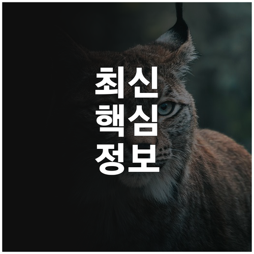 어린이집 입학 걱정 끝! 2025 양..