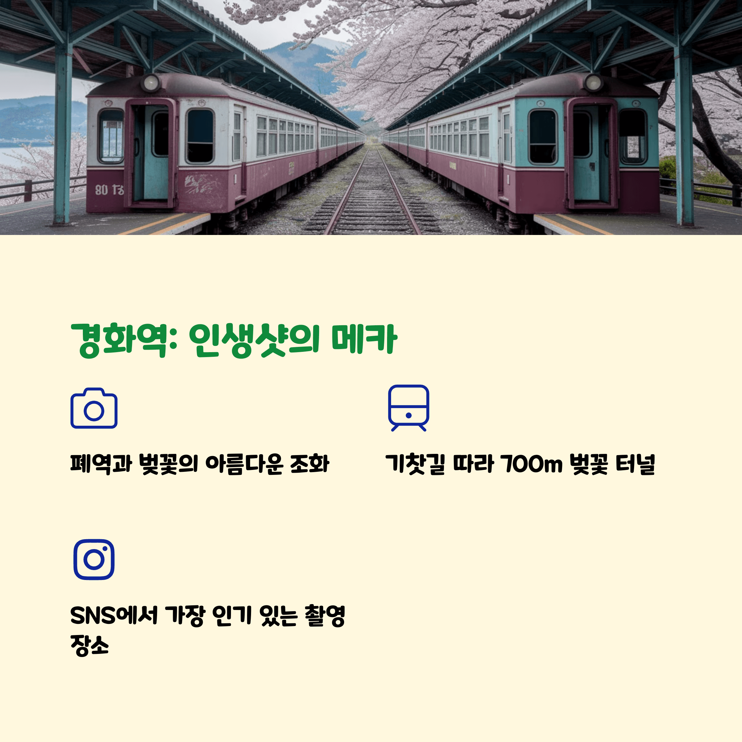 진해 벚꽃 경화역