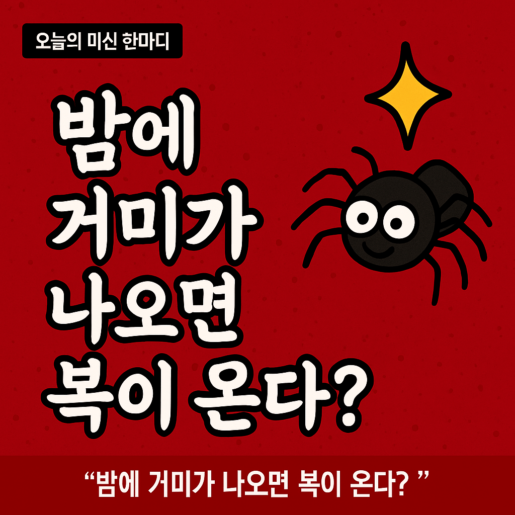 거미가 밤에 나오면 복이 온다?-썸네일