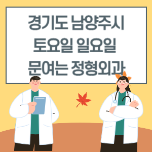 경기도 남양주시 토요일 일요일 정형외과 진료 문여는 병원 리스트