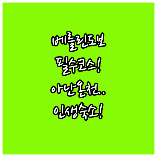 독일 베를린 도보 여행 코스 및 일본..