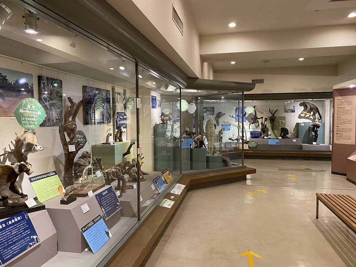 이누야마몽키센터