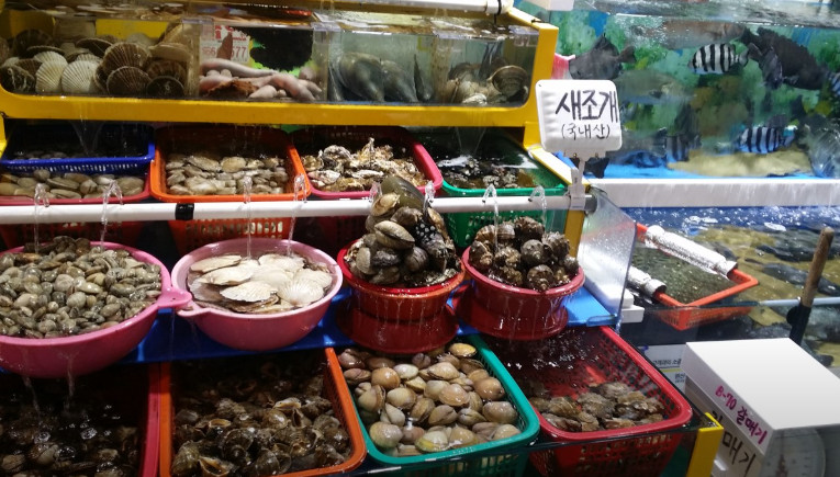 백반기행 화성 해산물 한상 3만원 궁평항 맛집