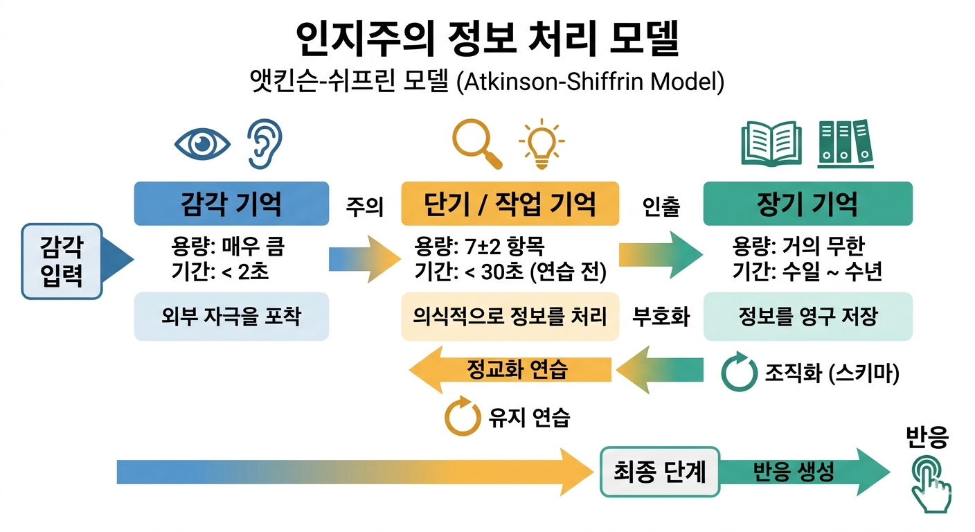 인지주의 정보 처리 모델인 앳킨슨-쉬프린 모델의 구조도. 감각 입력이 감각 기억(2초 미만)을 거쳐 주의를 통해 단기/작업 기억(용량 7±2 항목, 30초 미만)으로 이동하고, 부호화와 조직화(스키마) 과정을 통해 장기 기억(무한 용량, 영구 저장)에 저장되는 과정을 보여줌. 정보는 장기 기억에서 다시 단기 기억으로 인출되거나, 정교화 및 유지 연습을 거치며 최종적으로 반응을 생성함.