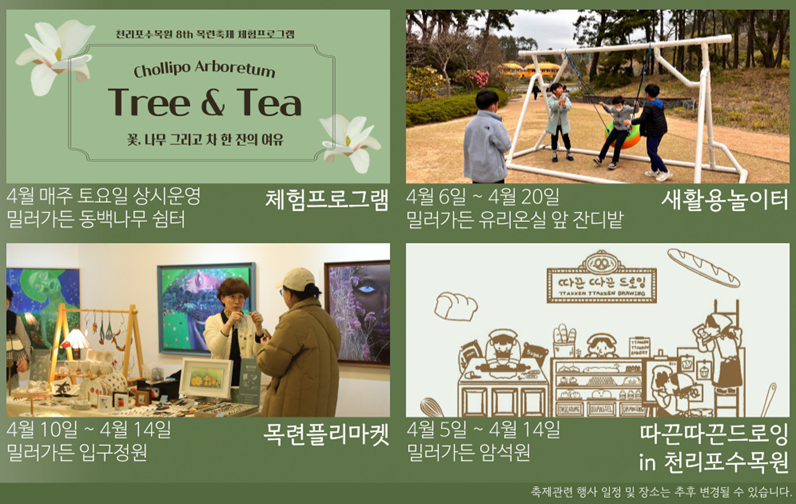 천리포수목원 목련축제