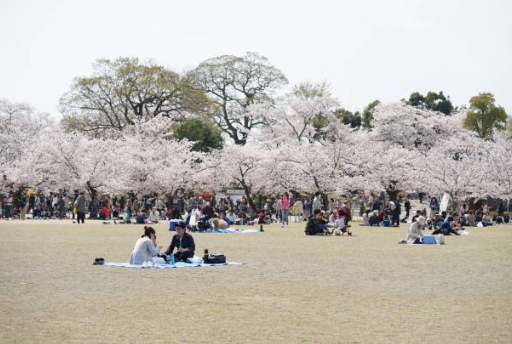 꽃 축제에 가서 신나게 즐기는 모습