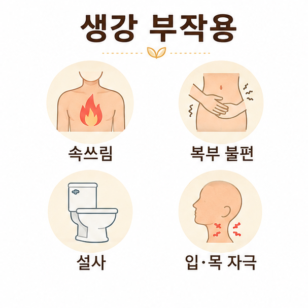 속쓰림, 복부 불편, 설사, 입과 목 자극 등 생강 섭취 시 나타날 수 있는 부작용