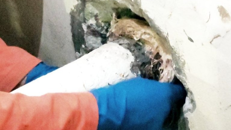 수도 배관 방수 완벽 가이드