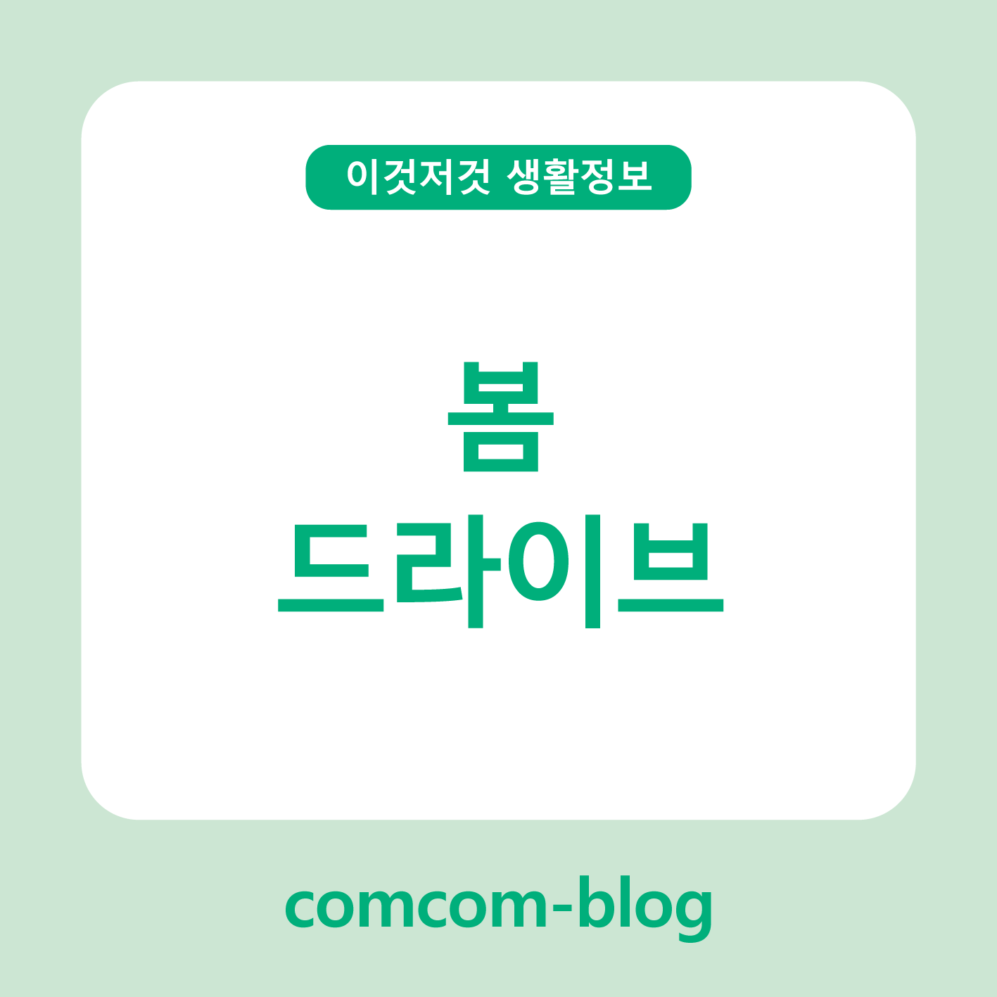 봄바람 따라 달리는 힐링 여정, 한국 봄 드라이브 명소 4선