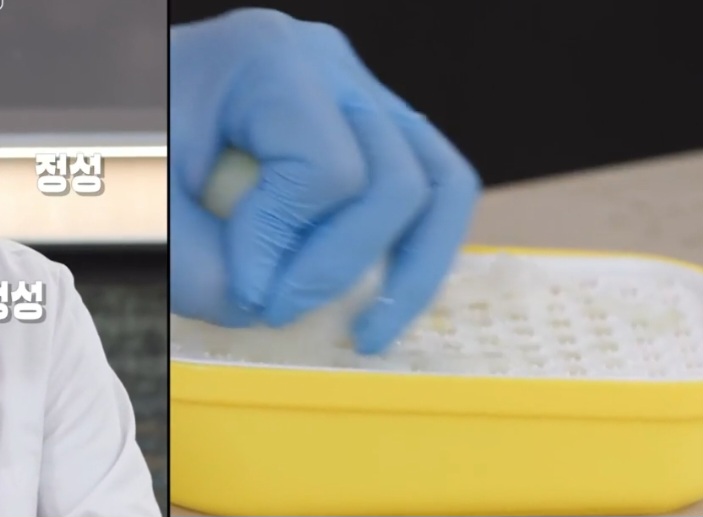 편스토랑 겉절이