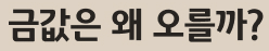2025년 금값 폭등, 금테크 지금부터 시작해도 될까?