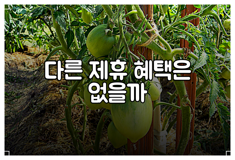 다른 제휴 혜택은 없을까