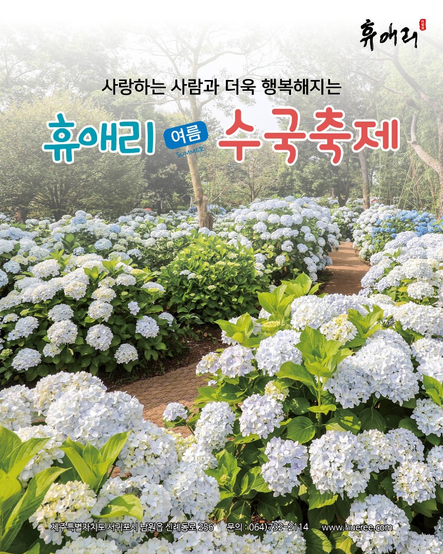 휴애리 수국축제 시즌2