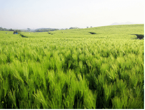고창 학원 농장 입장료 총정리 관련사진