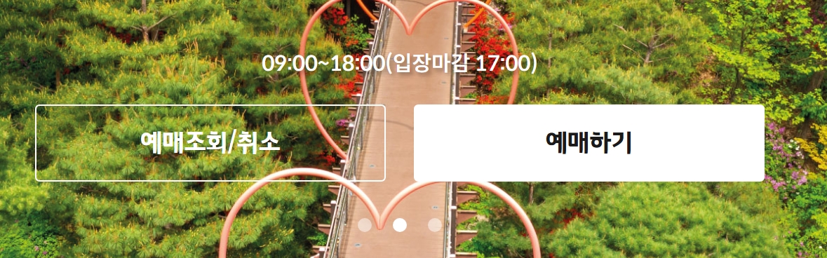 🌌 화담숲 반딧불이 축제 예약 후기: 은하수 같은 여름밤의 마법