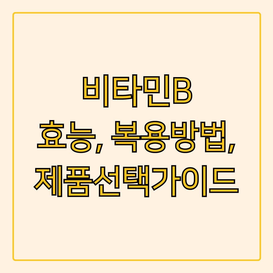피로와 신경 건강에 좋은 비타민B 컴플렉스! 효능과 복용법, 영양제 고르는 방법 알아보기