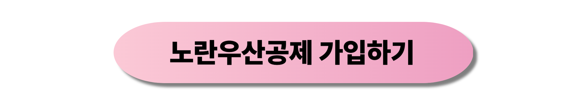 노란우산공제