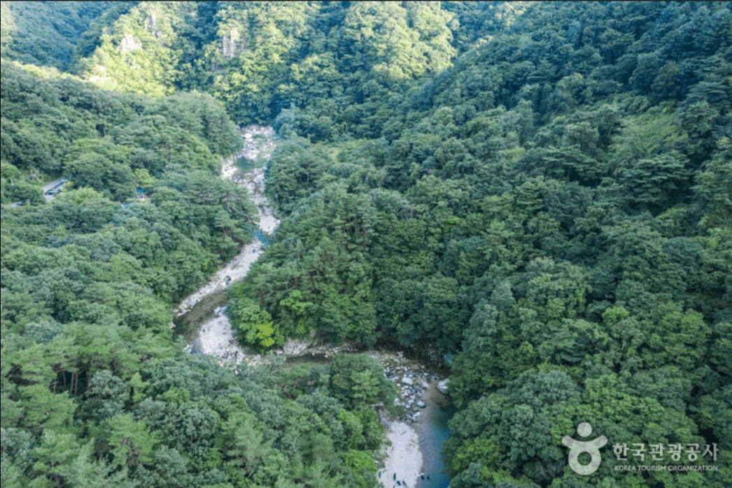 포항시 하옥계곡