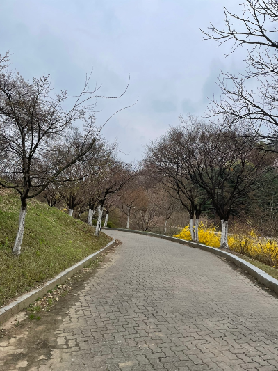 생각 정리가 잘되는 산책은 ‘해결’보다 ‘거리 두기’에서 시작됩니다.