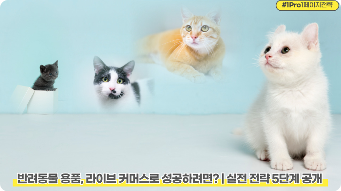 반려동물-용품-라이브-커머스