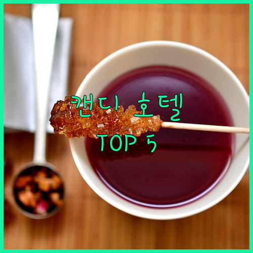 직접 고른 캔디 인기 호텔 5종 특징..