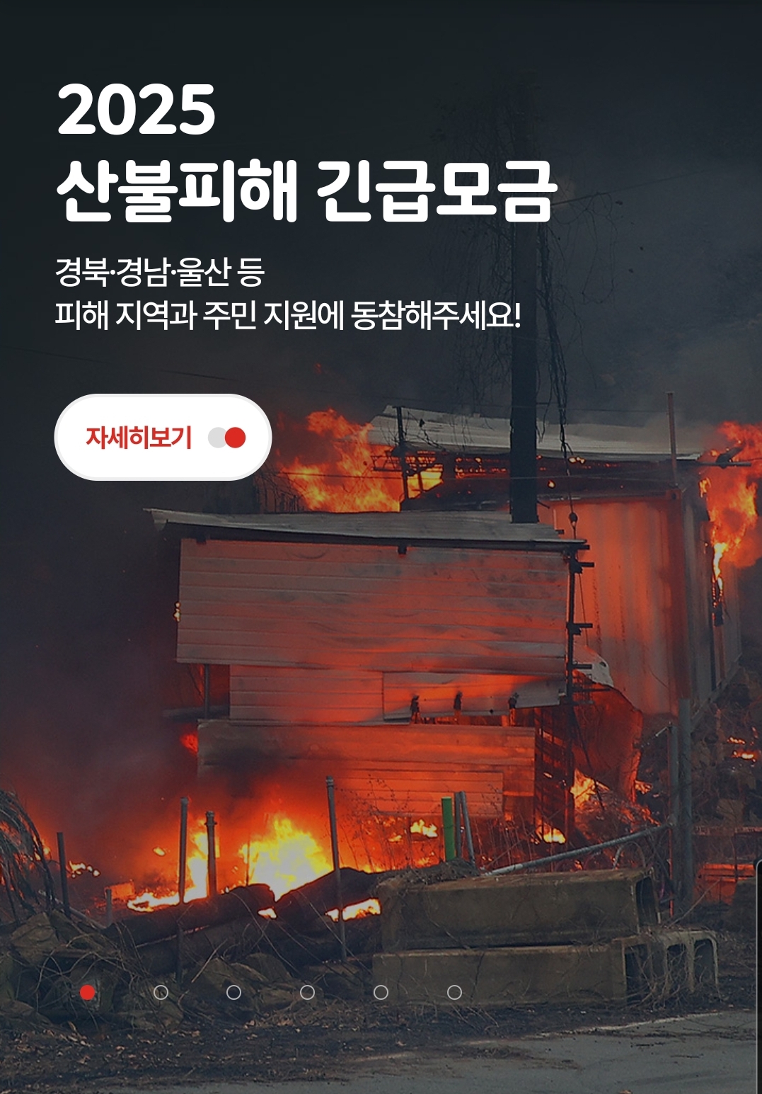 산불 피해 기부 방법 공식기부처 알아보기