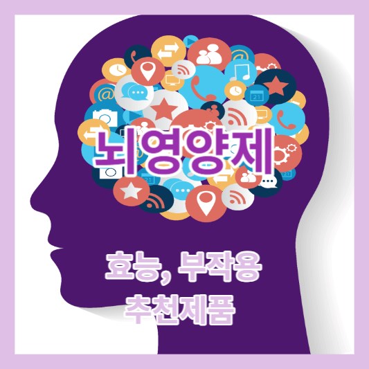 뇌영양제