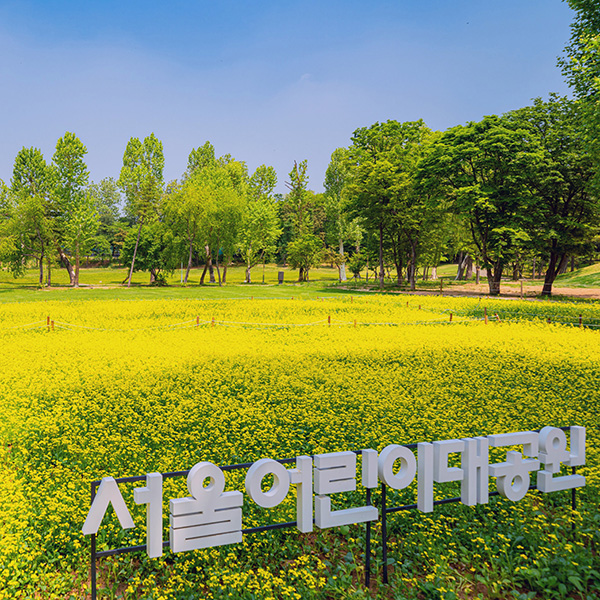 2026년 어린이대공원 새단장 썸네일 이미지