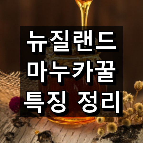 뉴질랜드 마누카꿀 효능. 복용법, 섭취량 대표 이미지