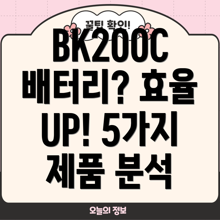 BK200C배터리효율적인사용을위한제품5가지분석및선택가이드
