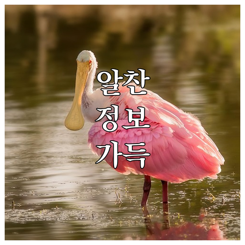 이것 모르면 과태료 용산 한남동 대형..