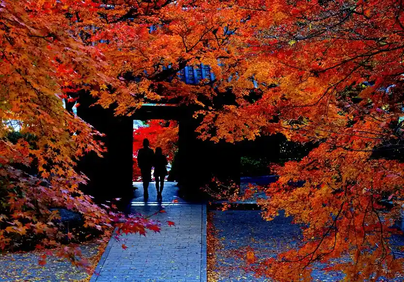 가을
