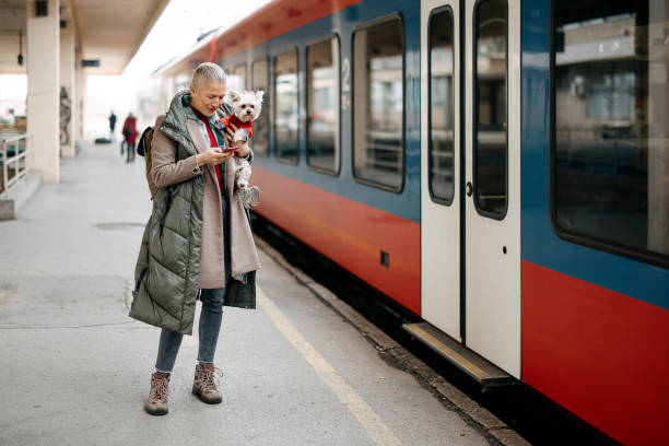 반려동물과 기차 여행 시 팁