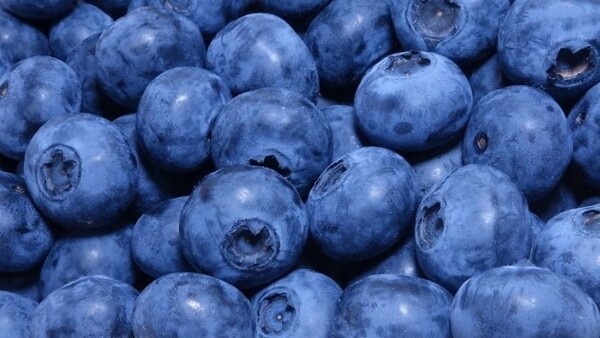 눈 건강엔 이 음식이 답입니다.