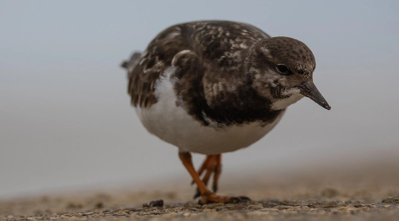 리액턴스(Reactance)란 무엇인가