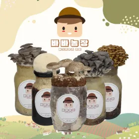 느타리버섯 재배 배지 수분 온도 관리 초보 성공_8