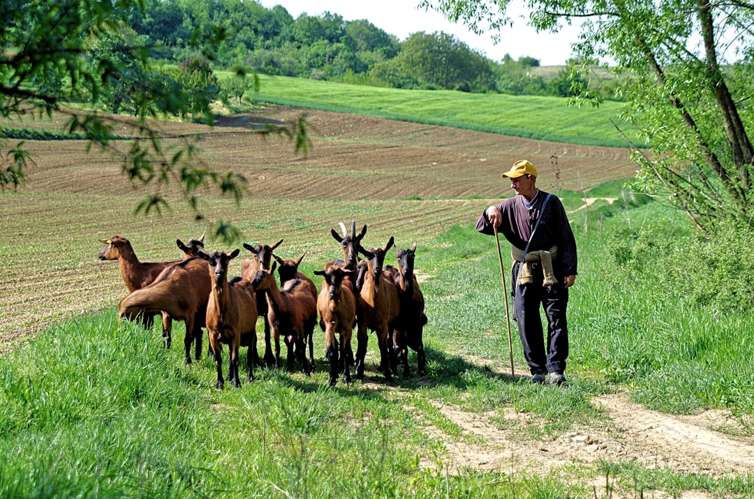 농지연금의 가장 중요한 명사는 Farming입니다.