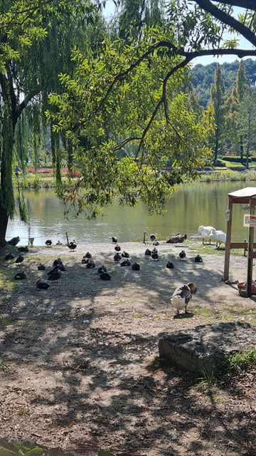 순천만국가정원 어린이 동물원 서문 순천여행 24년 11월 사진