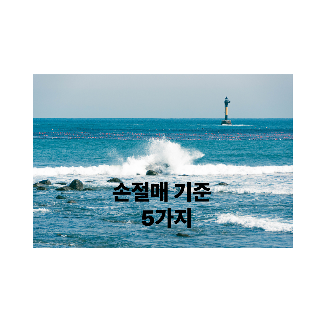 손절매 기준