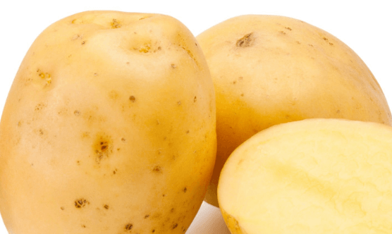 봄 감자 심는 시기 십는 방법 (재배 법) 및 수확 시기 알아보기