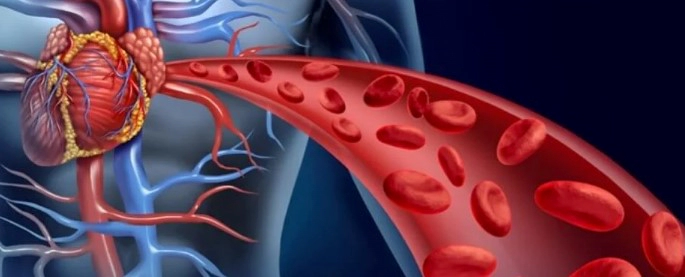 일상에서 혈액순환 잘되는 법